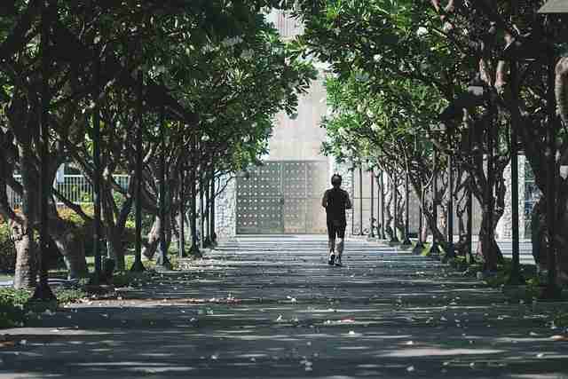【蘑菇影视在线观看】重磅生态版图拆读 - 知识拓展,蘑菇影视 官网